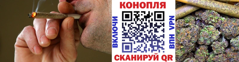 Каннабис семена  omg   Барыш 
